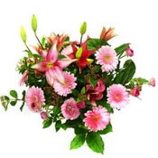 kark gerbera mevsim iek buketi Ankara iek firmamzdan  