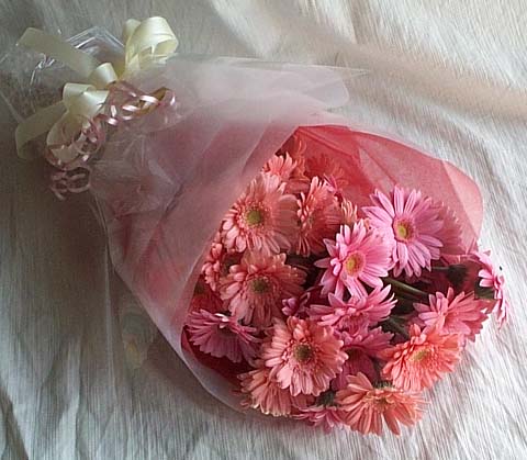 Ankara çiçek gönderimi site ürünümüz  13 adet gerbera çiçek buketi
