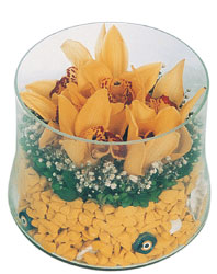 Ankara çiçekçilik görsel çiçek modeli firmamızdan  vazo içerisinde 5 adet kandil orkide