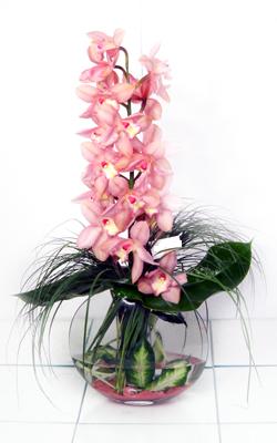 Ankara çiçek gönder firması şahane ürünümüz  cam içerisinde tek dal kesme orkide çiçeği