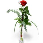 Ankara çiçek siparişi sitemizin görsel ürünü  Camda sadece tek kırmızı gül Ankara çiçek gönder firması şahane ürünümüz 